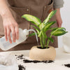 Ecopo | Product Thumbnail
